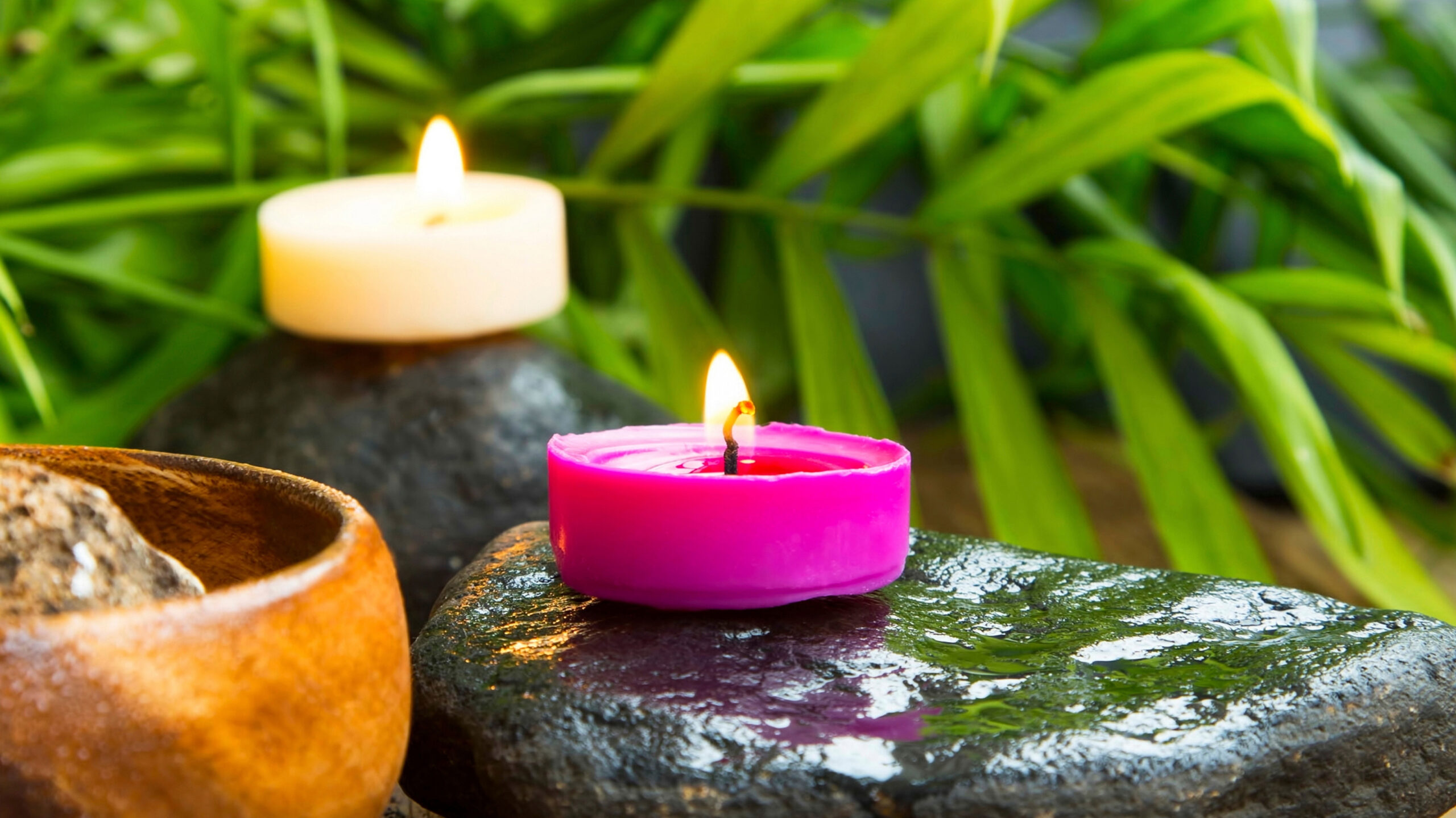 Two lit candles are positioned on top of a rock with leaves in the background